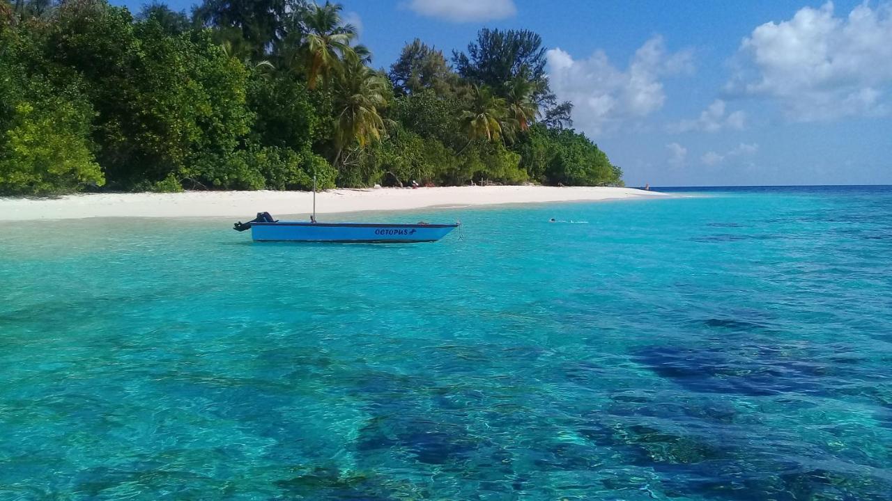 Chill Holidays Maldives Maamigili Exterior foto